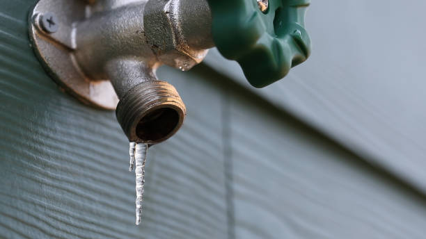 Best Water Leak Repair  in Bronson, FL